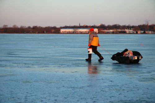 Pulling a sled on the ice