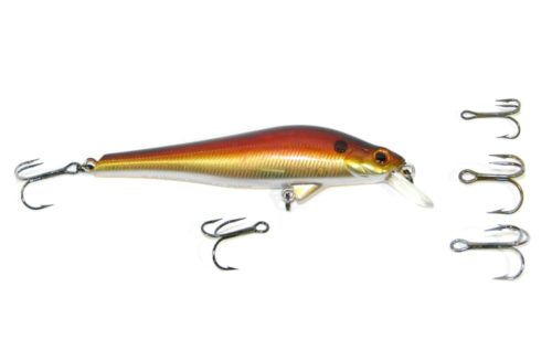 A jerkbait and several hook size options